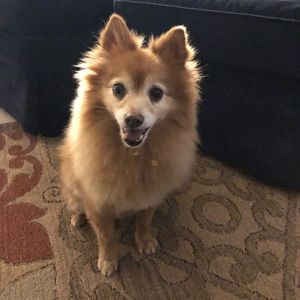 Meet your Posher, Erika